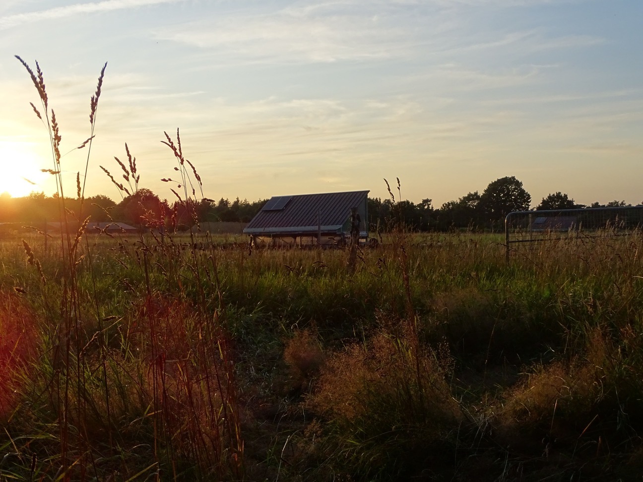 Afbeelding van Hippolytushoef